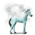 cavalo da água gêiser