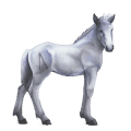 cavalo divino greyfell   2