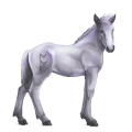 cavalo divino greyfell   3