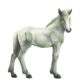 cavalo divino greyfell