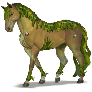 cavalo divino alga