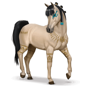 cavalo especial amira