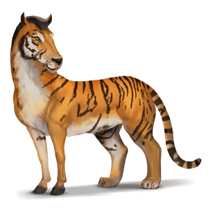 cavalo selvagem tigre