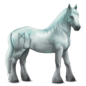 cavalo divino greyfell  12