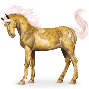 cavalo do sistema solar io