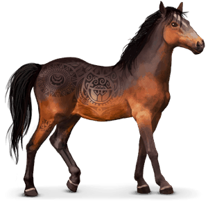 cavalo selvagem kaimanawa