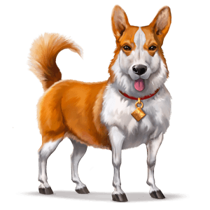 cavalo selvagem welsh corgi