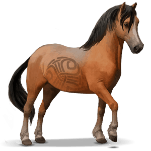 cavalo selvagem welsh mountain