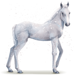 cavalo da água floco de neve