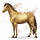 cavalo precioso gipsita
