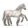 sleipnir branco