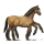 baio sleipnir