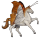 cavalo errante marpesia asa-de-adaga