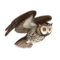 coruja