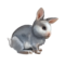 coelho