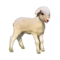 ovelha