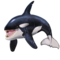 orca