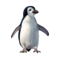 pinguim