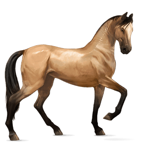 cavalo de passeio quarto de milha alazão crinalvo