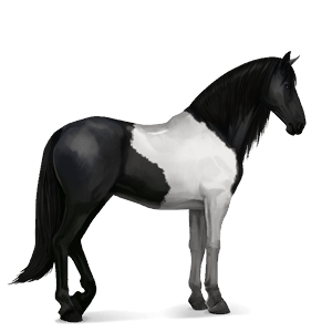 cavalo de passeio trakehner castanho