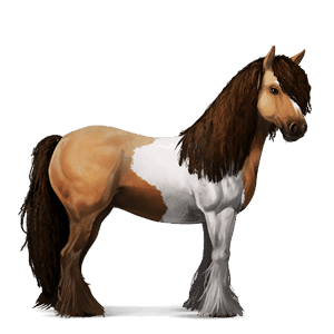 cavalo de passeio quarto de milha castanho sangue
