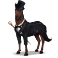 cavalo de passeio doutor maluco