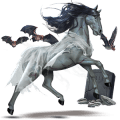 cavalo errante mulher de branco