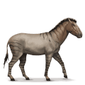 cavalo divino hippidion