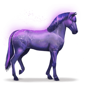 cavalo do arco-íris devoted indigo