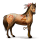 cavalo errante da civilização cochise